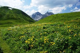 Kraeuterwanderung