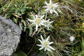 klettersteig3